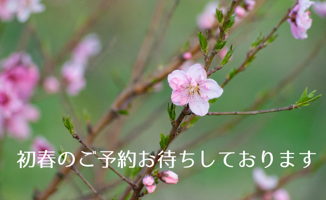 札幌の小さな引越し