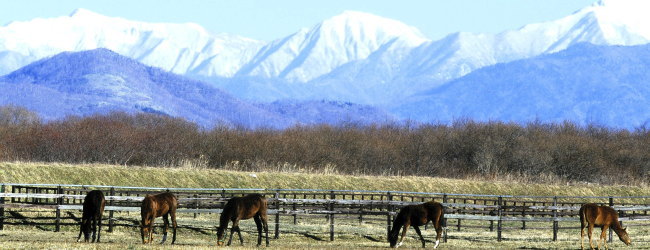 浦河町の引越しご案内・赤帽札幌優駿サービス